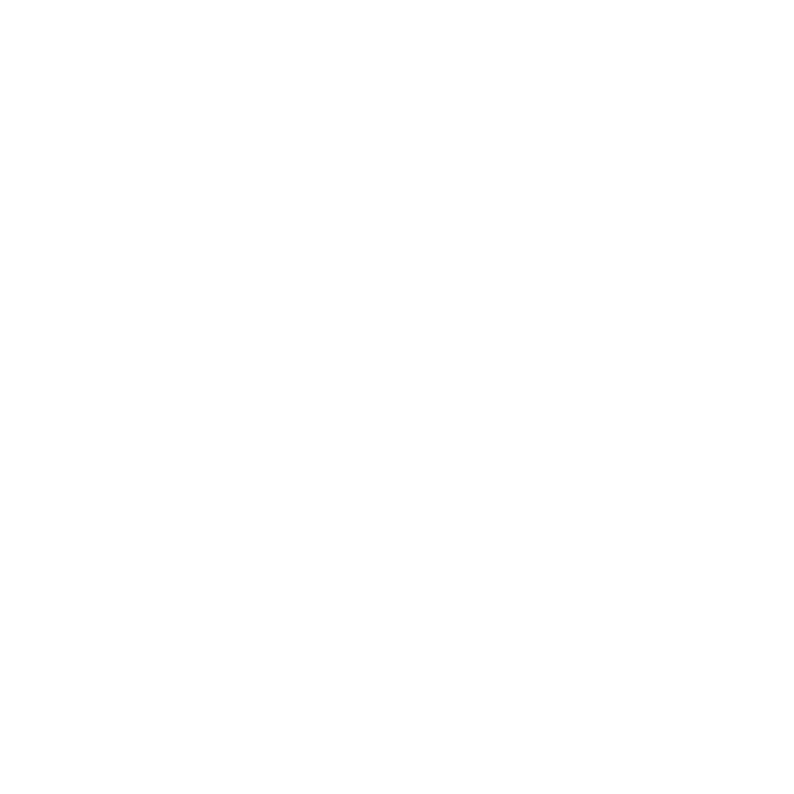 The CIO Mogul